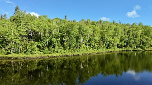 Votre domaine en pleine nature – 11,84 ha avec lac au Saguenay — photo 2