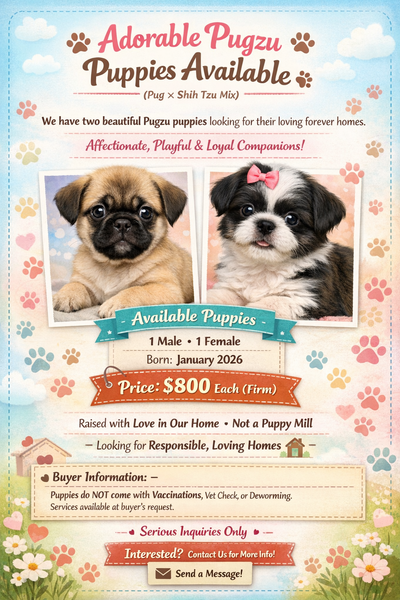 PUGZU!!!!, View more