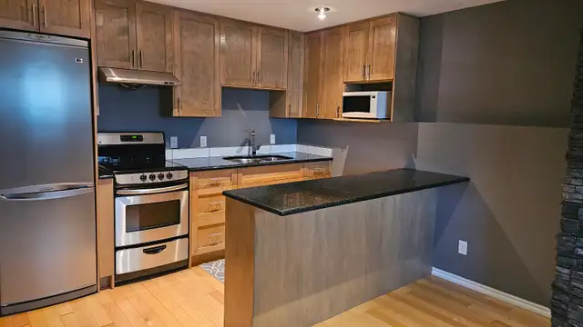 Basement Suite 2 Bed 1 Bath