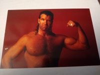 1998 WCW wrestling photo cards in VG shape $1 each