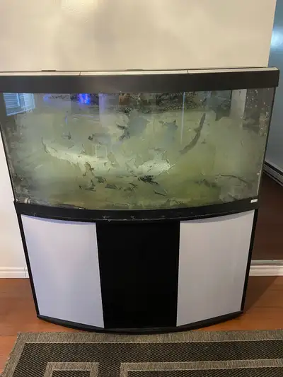Fluval 80 gallon bow front with stand, View more