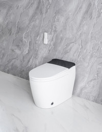 Smart Toilet - Bidet
