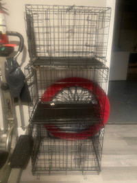Small dog crates available 