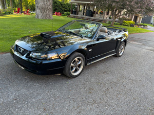 2003 Ford Mustang GT Gt