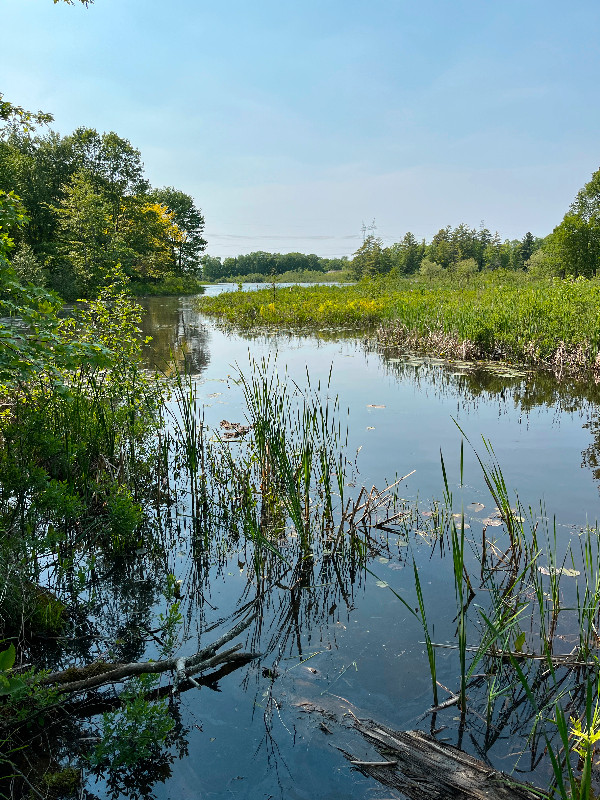Brand New Four Season Cottage For Rent on Gloucester Pool Short Term