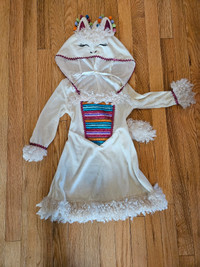 Kids Size 2-3 - Llama Dress/Costume 
