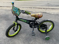 Bike - Ninja Turtle