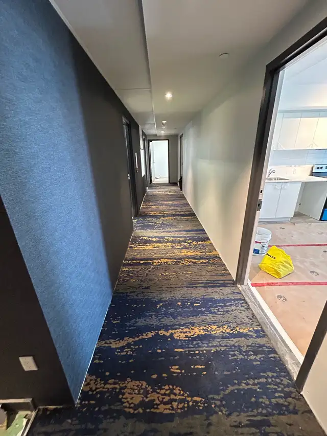 Expert Carpet Installation 64840206016001126