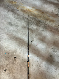 Fenwick Bait Casting Fishing Rod - $120