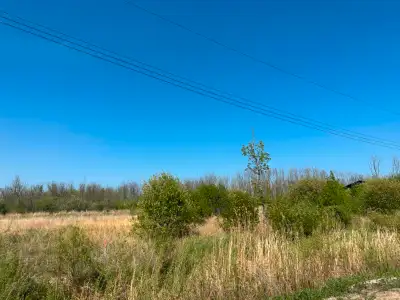 LOCATION, LOCATION, LOCATION!! Own your own piece of Paradise at Paradise Sands! Potentially Lakevie...