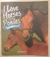 I love horses and ponies book