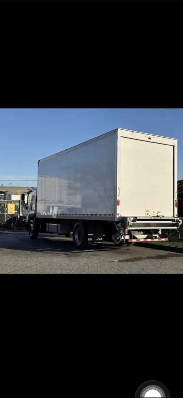 professional movers