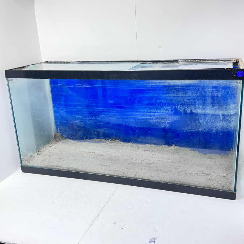 35 gallon aquarium fish tank with sand & diy lid Fish for Rehoming