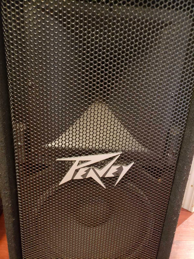 Peavey XR 1220 Complete System in Performance & DJ Equipment in Mississauga / Peel Region - Image 3