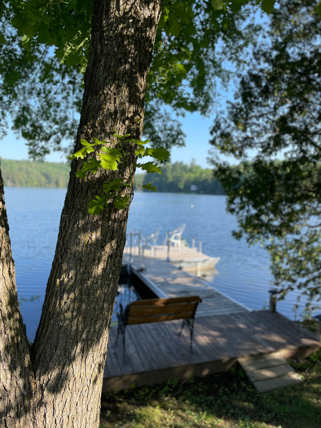 Lake Court Retreat (chalet/lake house/cottage) dans Locations temporaires  à Lanaudière