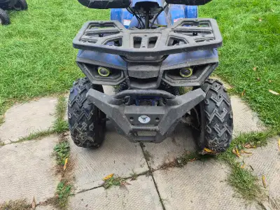 ATV for sale. Tao Sport 2020. Used last year. Ran well. Good for muddin, hauls well also decent spee...