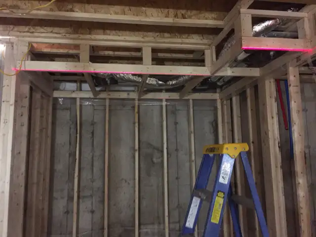 Experienced Framer/ Carpenter 548407826470021127