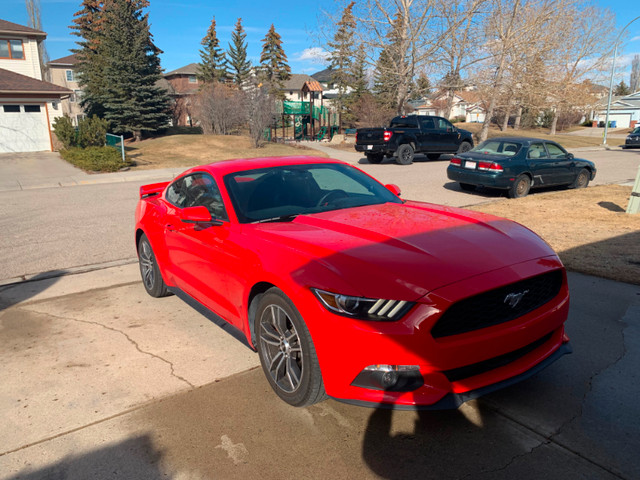 2017 Ford Mustang 2.3T Premium in Cars & Trucks in Calgary - Image 2