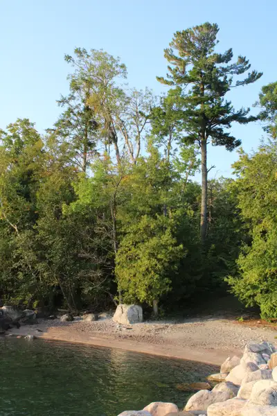 Cottage for rent, View more