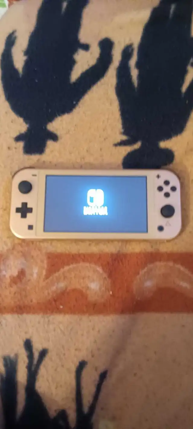 Nintendo Switch Lite65630292665345120
