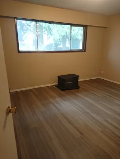 143 sq ft bright room, shared kitchen w d/we & bathroom. UTILITIES are included.