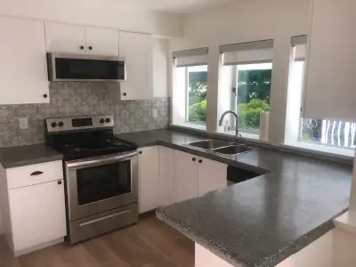 2 Bedroom Suite for Rent