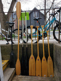 Assorted Zodiac/Canoe/Kayak/Dragon Boat Paddles 4 sale - $40 !!