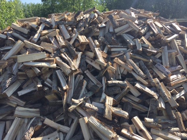 Dry poplar firewood in Fireplace & Firewood in Strathcona County - Image 2