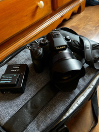 Camera lumix Fz1000 avec sac