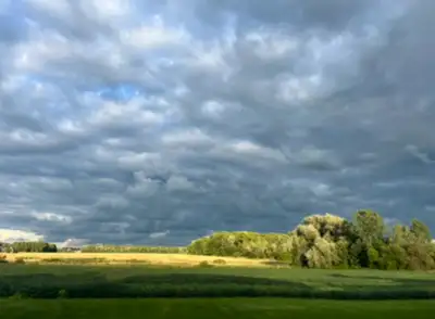 8 acres of farmland for rent in sherkston/gas line area. Currently being farmed for cash crop, but l...