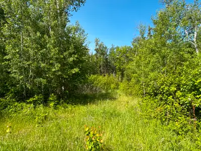 Ready to build! Gorgeous high and dry cleared lot in the unrestricted area of Victoria Beach! Drivew...