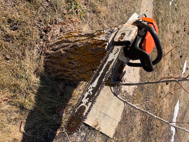 Stihl chainsaw Power Tools Red Deer Kijiji