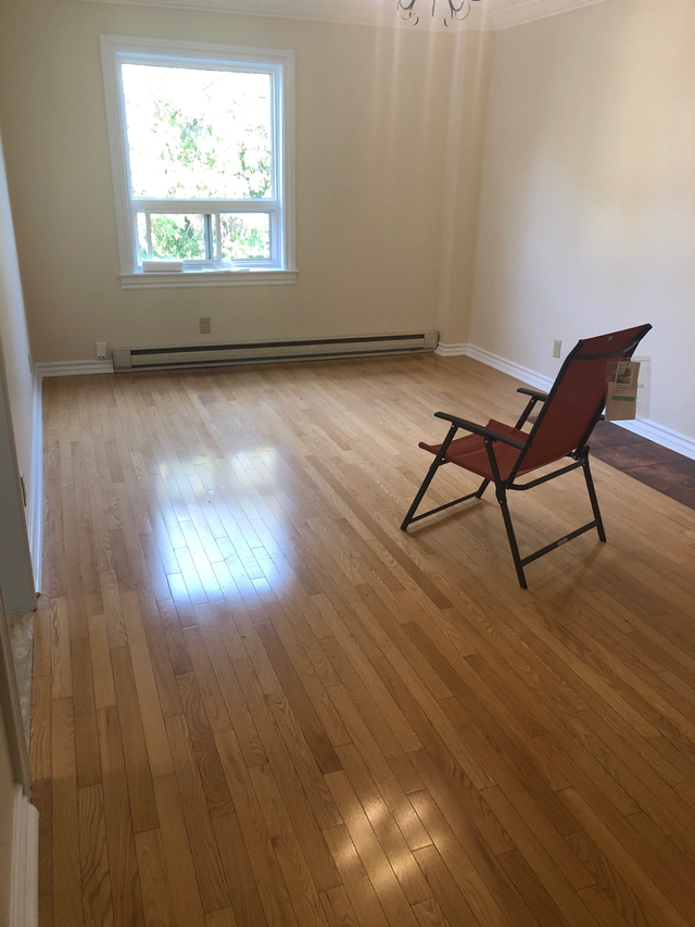 Apartment for rent in Long Term Rentals in City of Toronto - Image 2