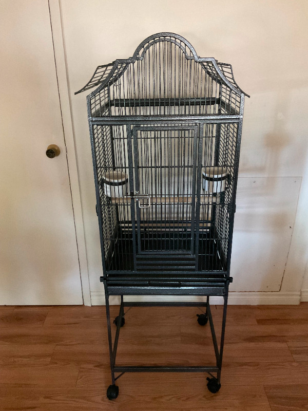 Grosse cage fer forger en dome dans Oiseaux à adopter  à Ouest de l’Île