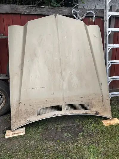 Looking to sell this 1973 Monte Carlo hood. It has been in storage for some time, it is dirty on the...