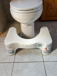 Toilet Step Stool - Squatty Potty