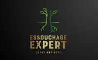 Essouchage Dessouchage souche SOUMISSION GRATUITE (438) 497-9777