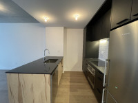 Brand New 1bdrm Condo on Rene Levesque (Station Beaudry)