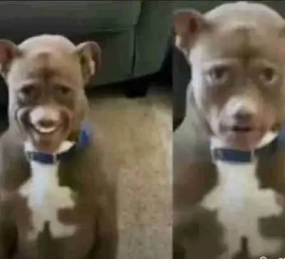 AI CUSTOM LOGOSFLYERS AND GRAPHIC DESIGN/GRAPHIC NEWMARKET YORK, View more