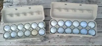 Golf Balls, View more