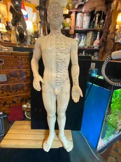Vintage Human Body Acupuncture Model Chinese Acupuncture Massage Model 19"