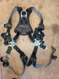 Safety harness and carabiner