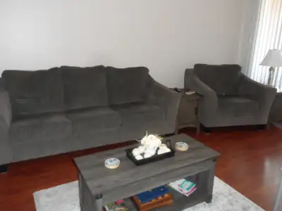new condtion sofa and chair set in mint condition. it has NO rip, View more