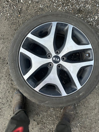OEM 19” Kia Sportage rims and tires
