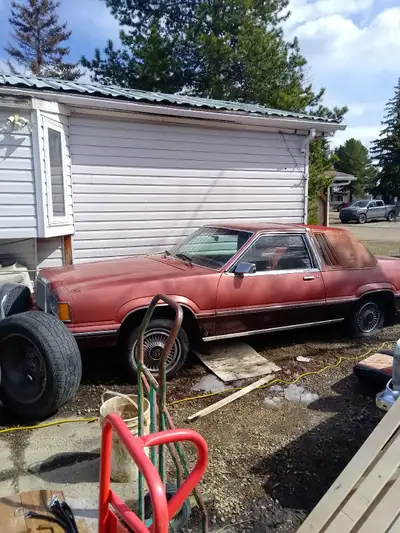 1980 Mercury Cougar. Bought this last year with good intentions lol. But it's been sitting untouched...