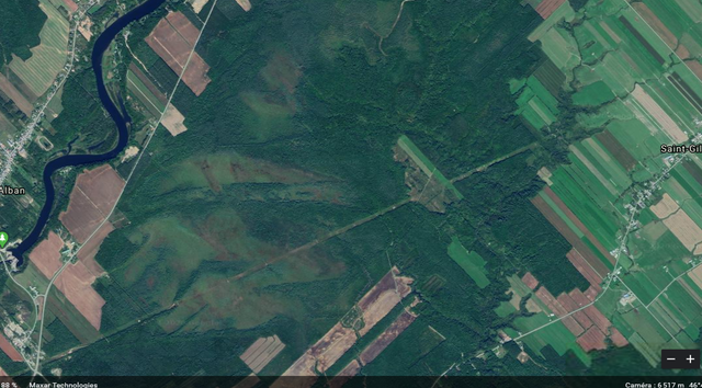 Belle Grande terre à bois à louer in Land for Sale in Québec City - Image 7