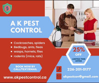 Bedbugs, cockroaches, waspas, mice, rates, ants,earwigs 