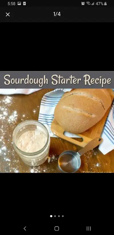 Sourdough starter, perfect for baking artisan loaves with a deli, View more