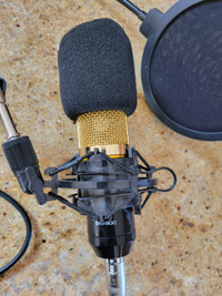 New mic for bloggers