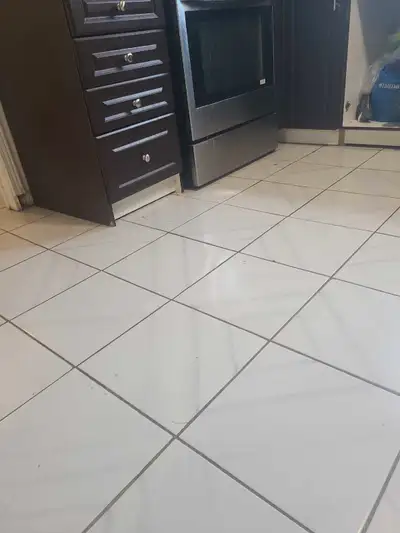 one bedroom basement for rent